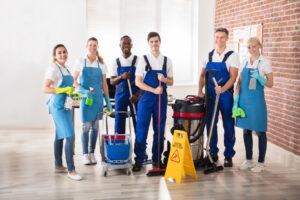 Domestic Cleaners UK