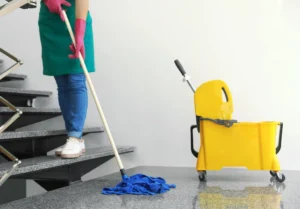 Domestic Cleaners UK