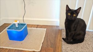 AONBOY Ultra-Quiet Fountain