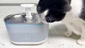 Petlibro Capsule Fountain