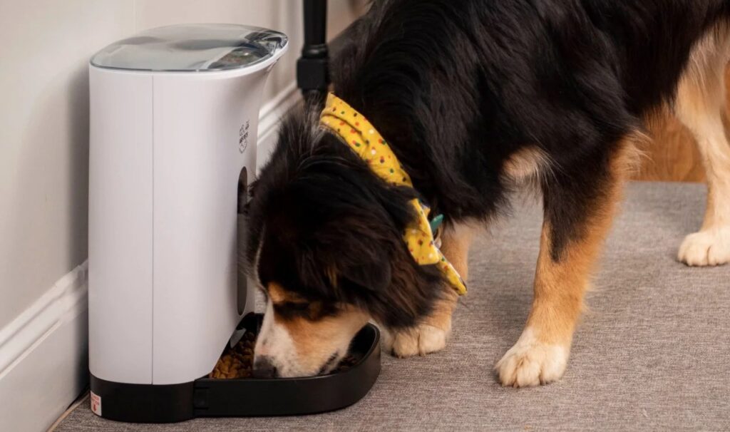 Arf Pets Smart Feeder with HD Camera