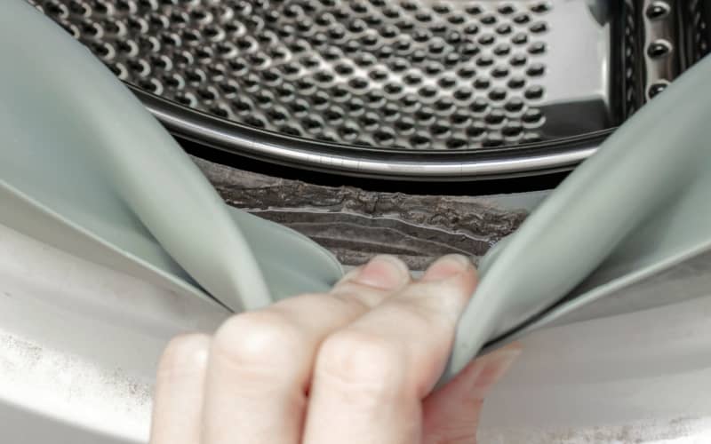 Clean the Rubber Gasket