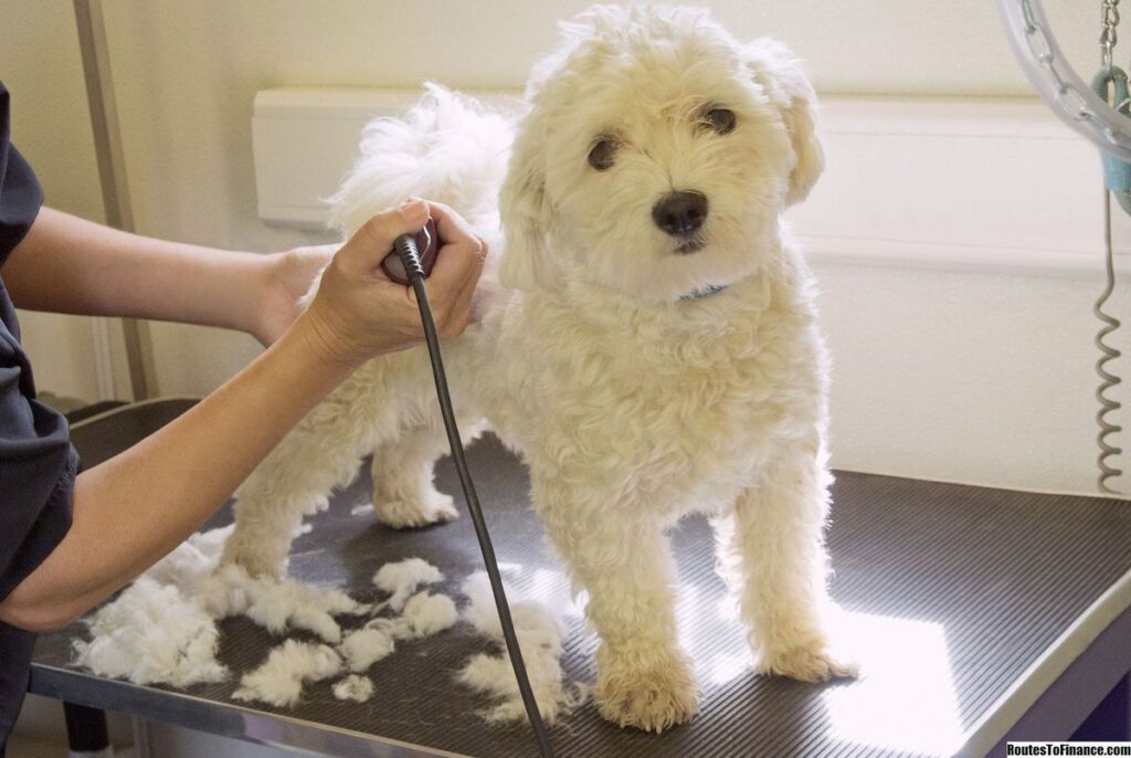 Dog & Bone Mobile Grooming
