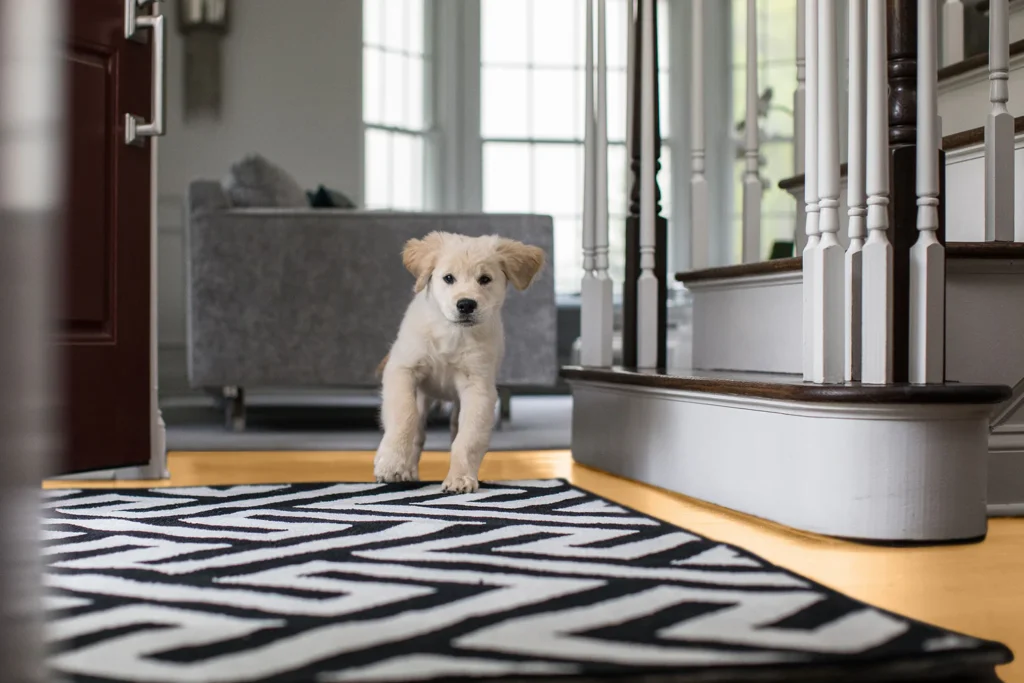 Gorilla Grip Rug Pad