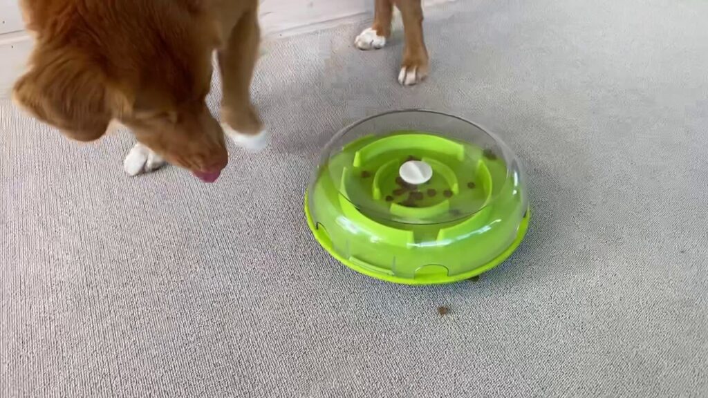 Outward Hound No-Spill Splash Catcher Bowl