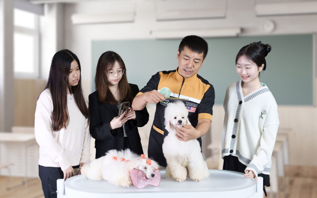 Pet Universe Mobile Grooming