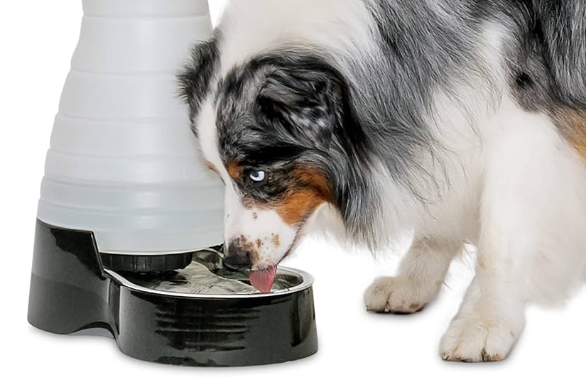 PetSafe Stainless Steel Smart Station with Splash Guard