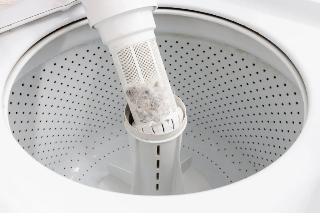 Scrub the Drain Filter