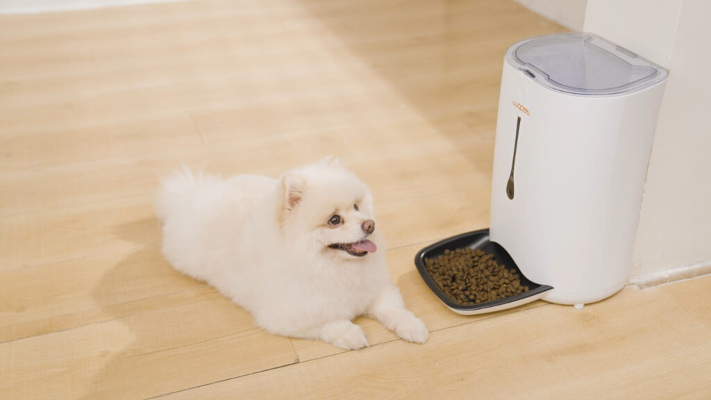 WOPET SmartFeeder Pro with 1080p HD Camera