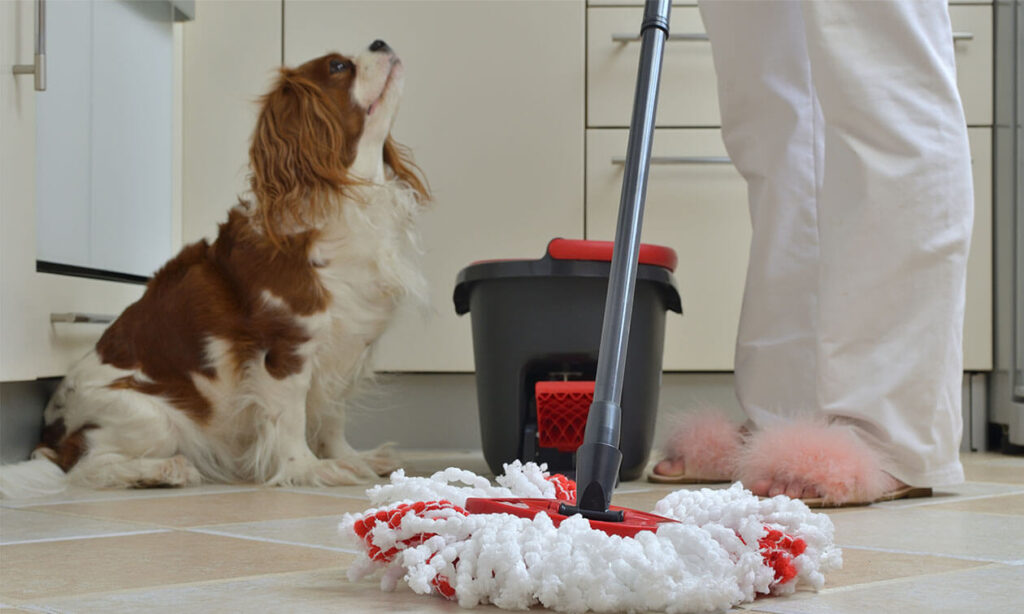 Best Types of Pet-Safe Floor Cleaners