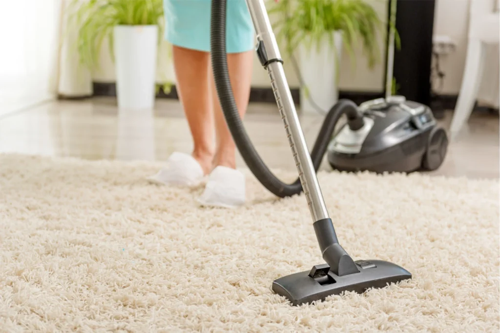 Best Vacuums for Area Rugs