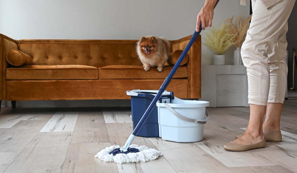 Choosing the Right Floor Cleaner for Pet Homes