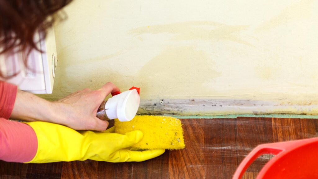 How to Clean Your Walls Without Damaging Paint
