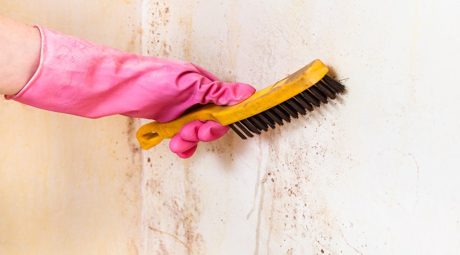 How to Handle Specific Wall Stains