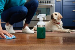 What Floor Cleaners Are Safe for Pets