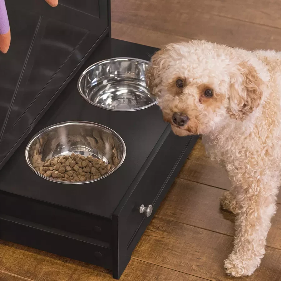 Pet Feeding & Water Station with Monitoring