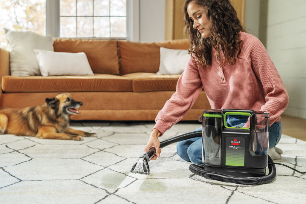 Solutions to Eliminate Pet Odors in Small Spaces