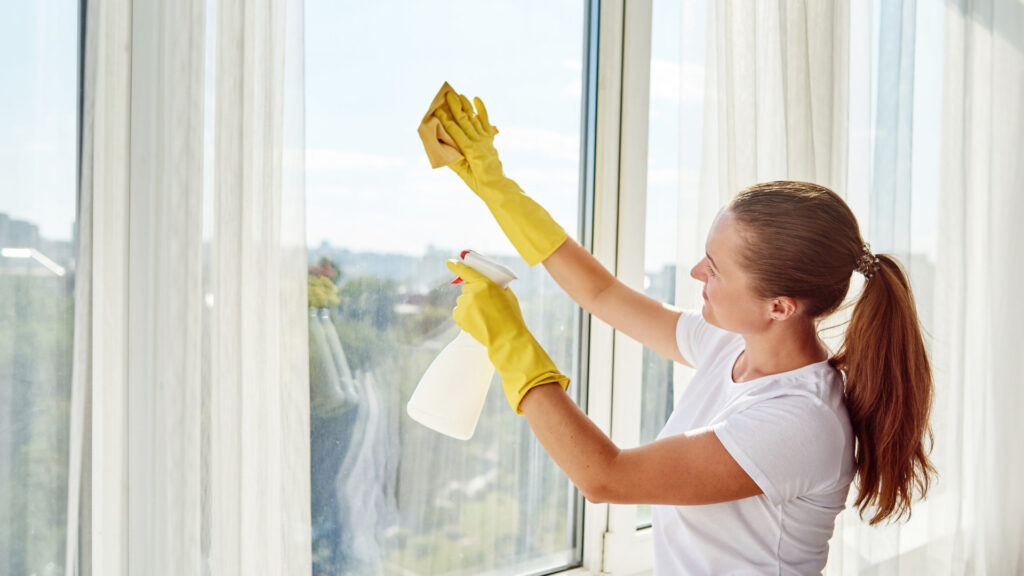 Traditional Window Cleaning