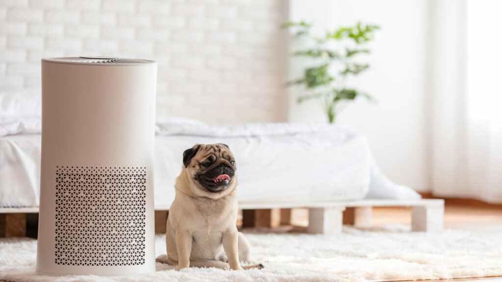 Air Purifiers with HEPA Filters