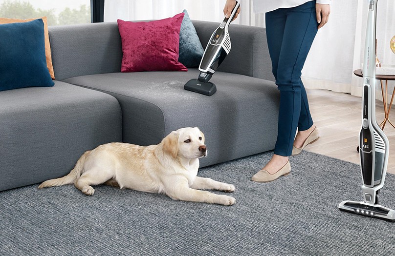 Cordless Vacuums with Pet Attachments