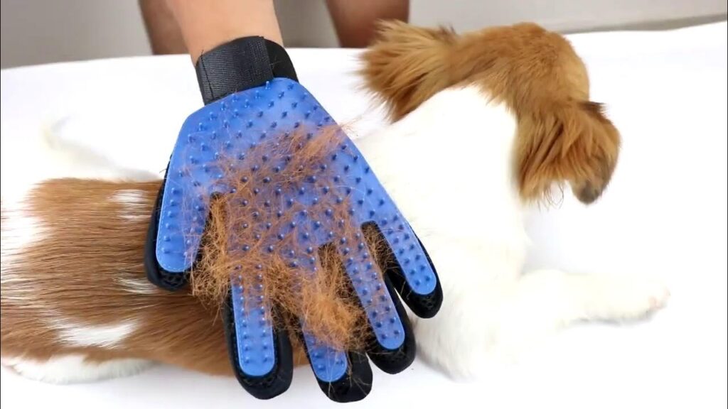 Grooming Gloves