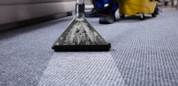 Carpet Cleaning Services