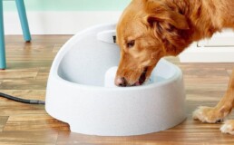Non-Tip Water Bowls for Large Dogs