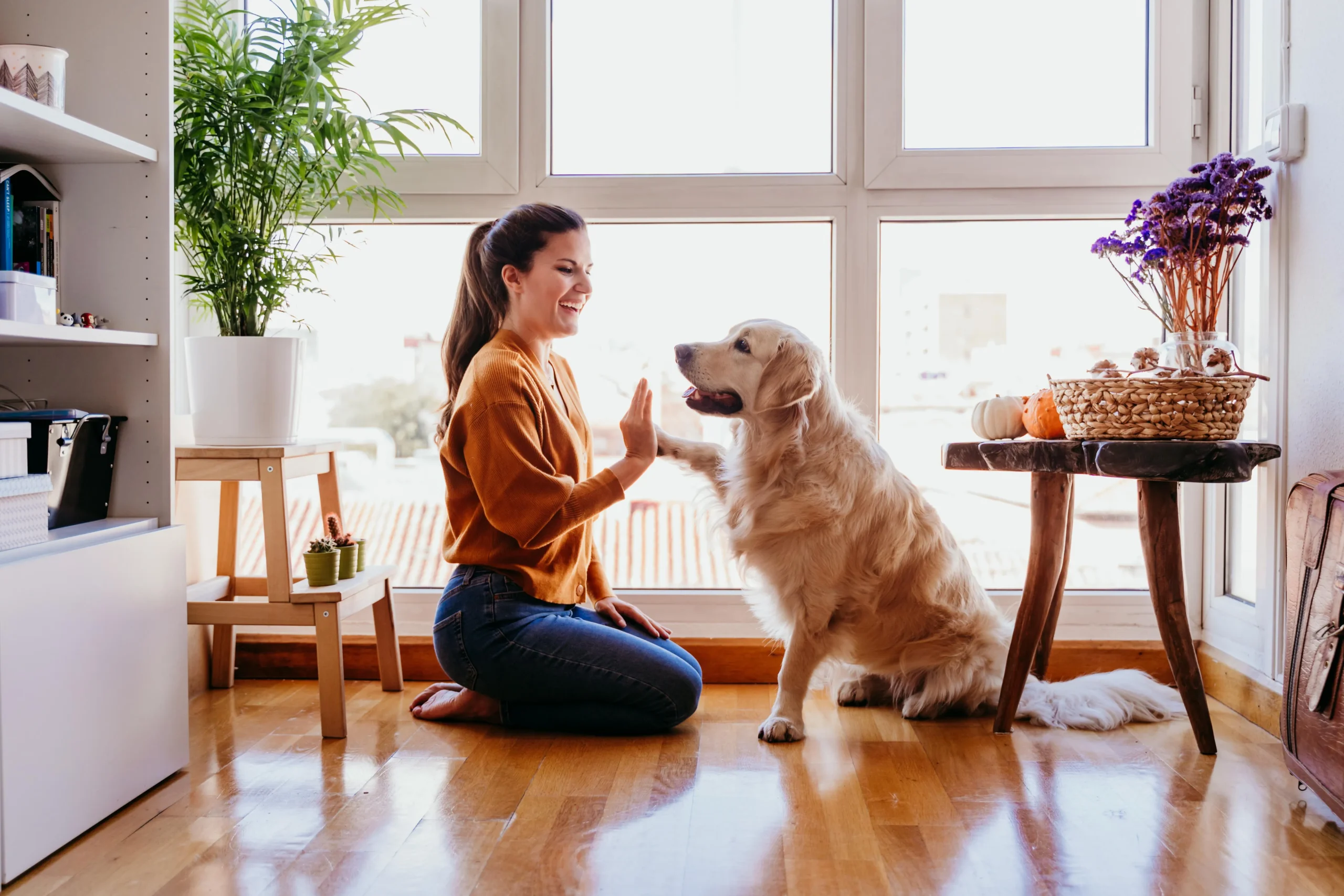 Clean Home with Pets