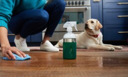 What Floor Cleaners Are Safe for Pets