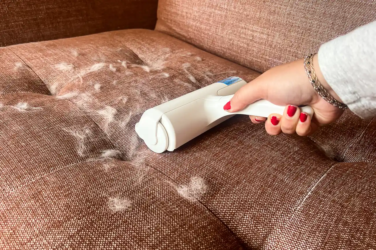 Clean Pet Hair