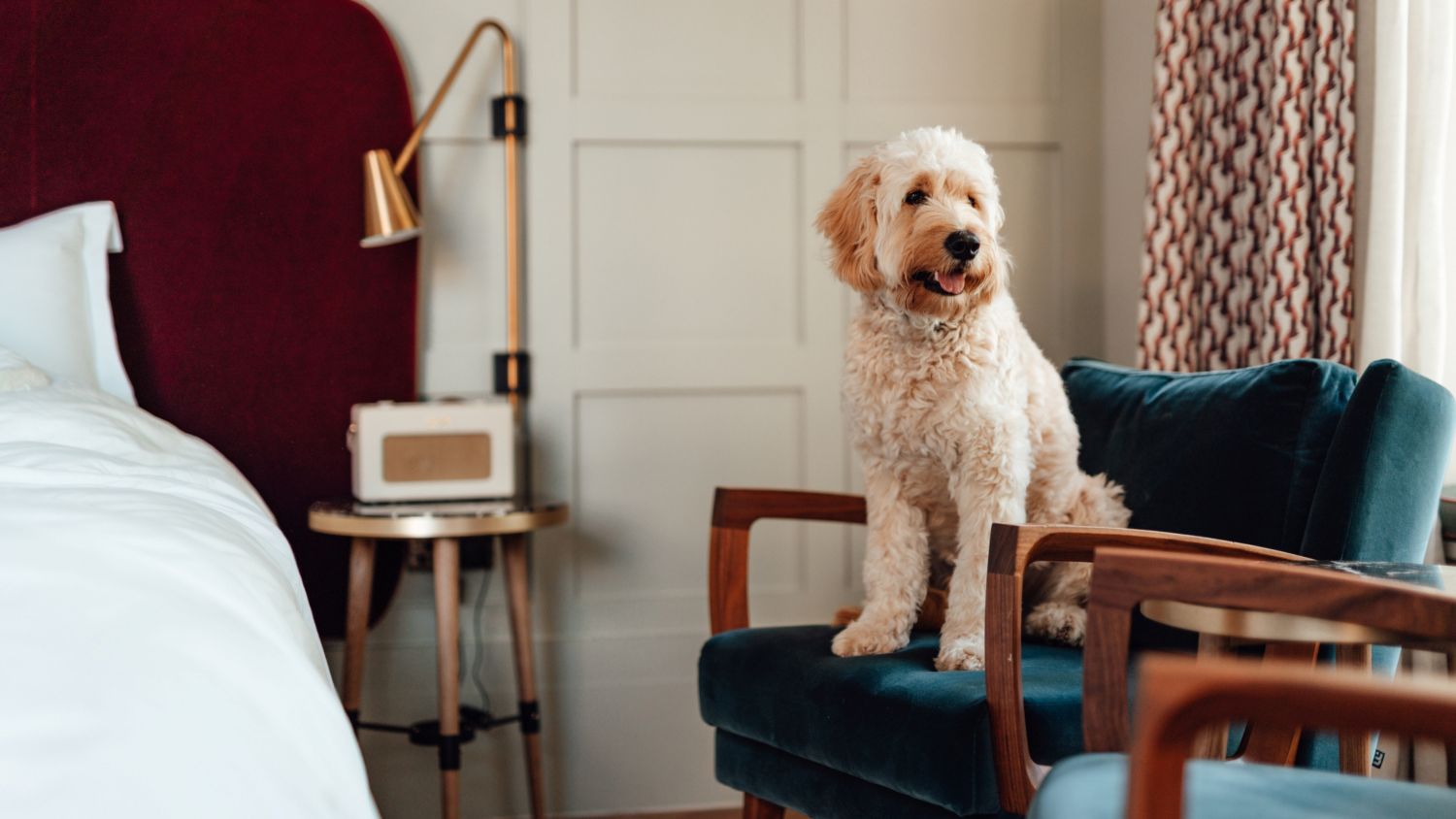 Handle Pet Odors in Small Spaces