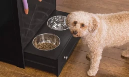 Pet Feeding & Water Station with Monitoring