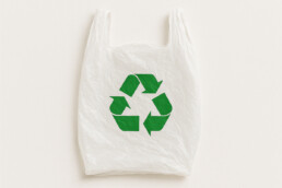 Biodegradable vs Reusable